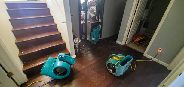 Best Flooded house restoration  in Hidden Valley Lake, CA
