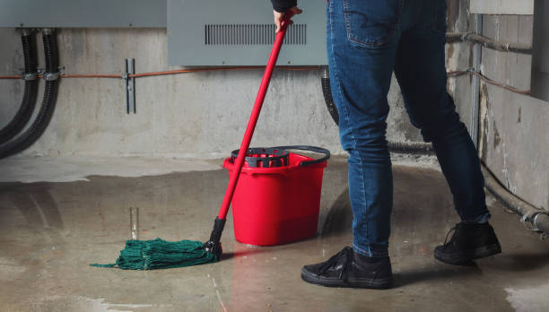 Best Mold removal after water damage  in Hidden Valley Lake, CA