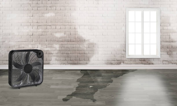 Best Carpet water damage restoration  in Hidden Valley Lake, CA